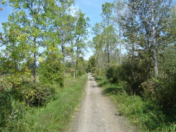 north simcoe trail 10