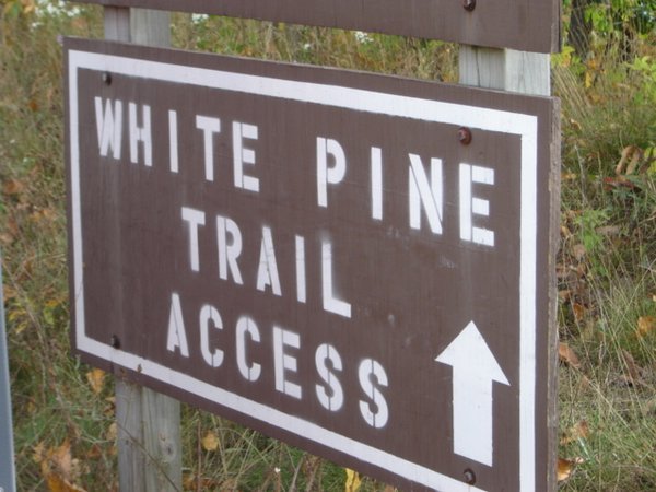 White Pine Trail 44