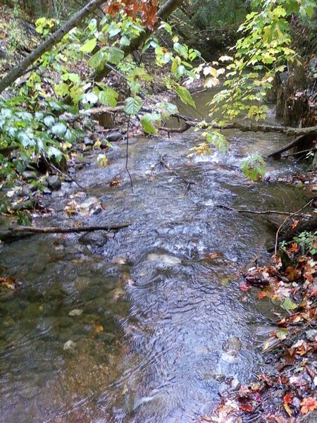 Tiny Trail - Copeland Creek