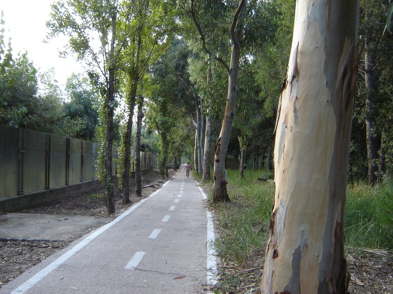Vasto Marina - trail