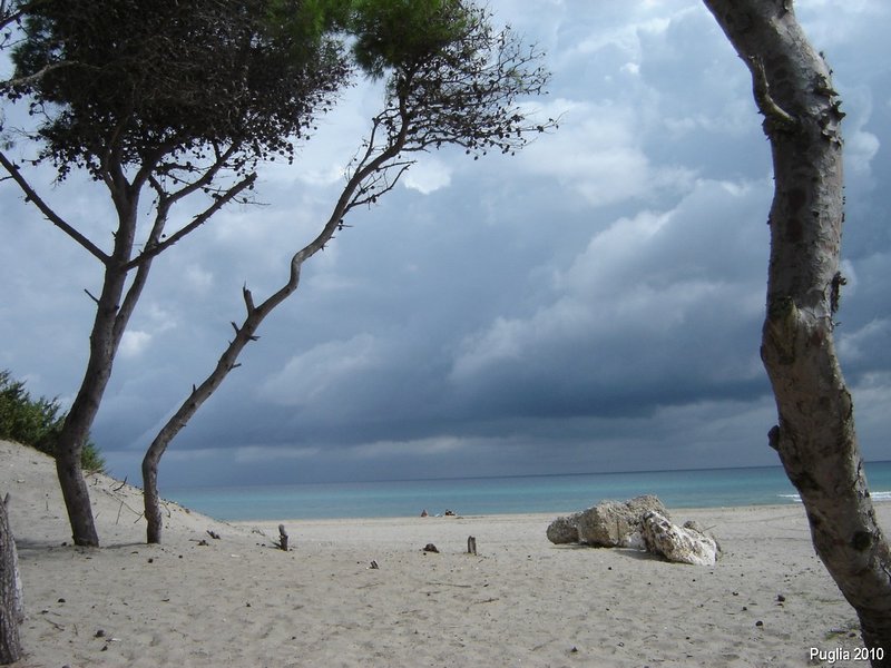 alimini beach