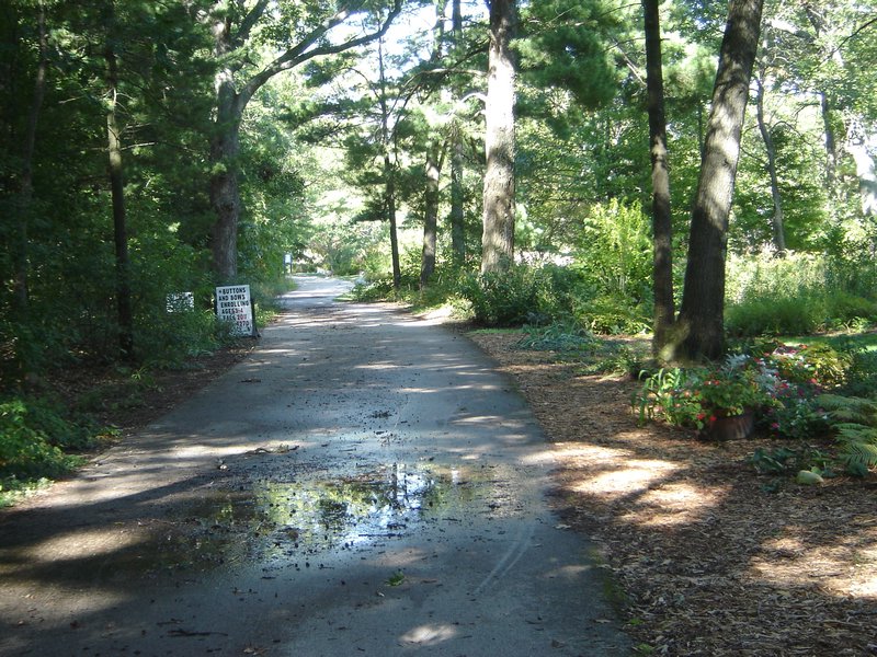 White Lake Pathway  08