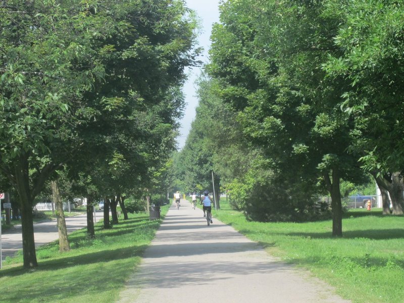 MI Bay City Path 2012 13