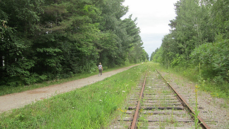 collingwood train trail  (1)