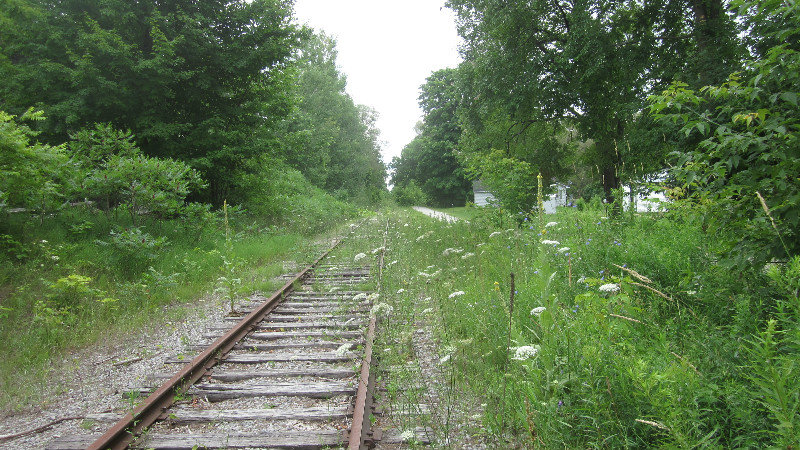 collingwood train trail  (2)