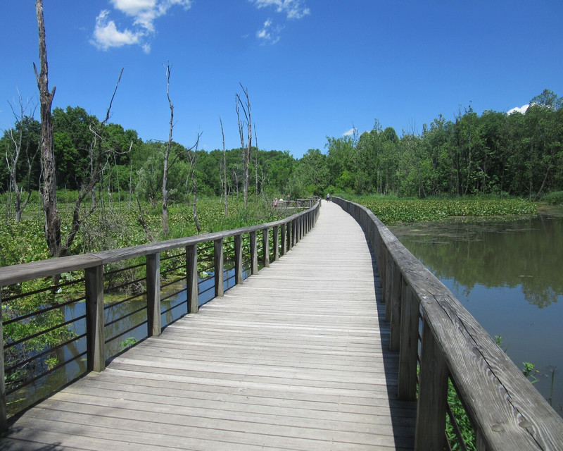 Ohio and Erie Canal Towpath Trail  (5)