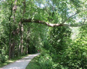 Ohio and Erie Canal Towpath Trail  (8)