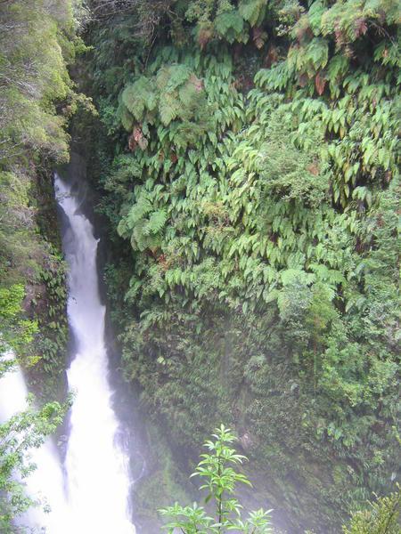 Waterfall in Pumalin Park