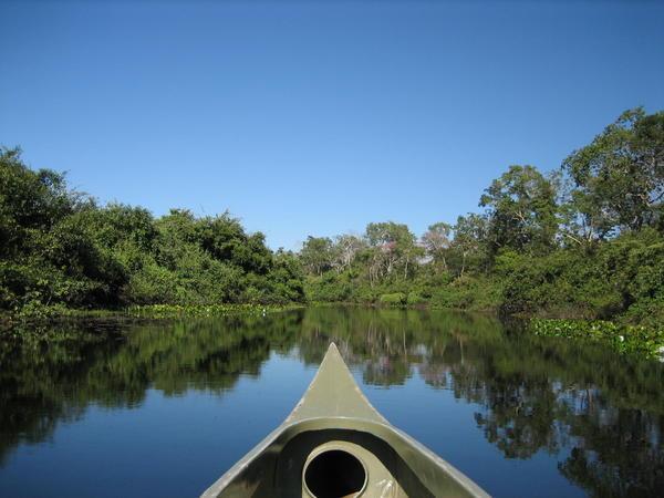 Canoeing through the Pantanal
