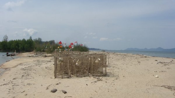 tsunami beach