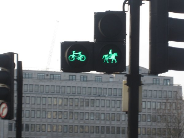 The Traffic Light