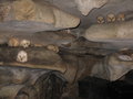 cave graves