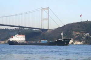 Several hundred of these ply the Bosphorus daily to get to and from the Black Sea