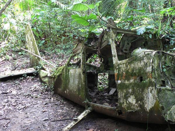 Plane crash wreckage in jungle 