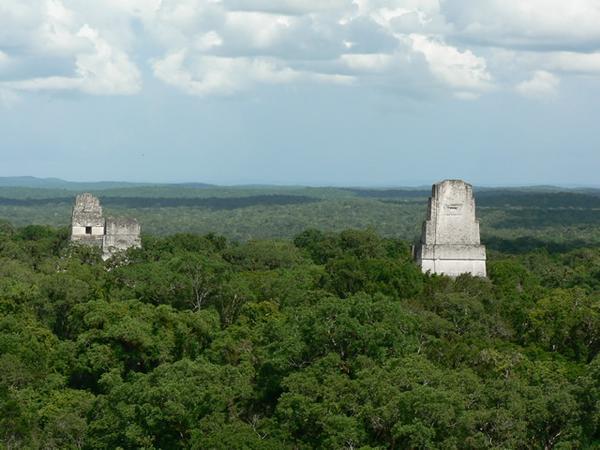 View across jungle canopy, Tikal