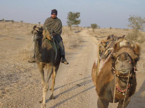 Camel Trek - Z Z Top