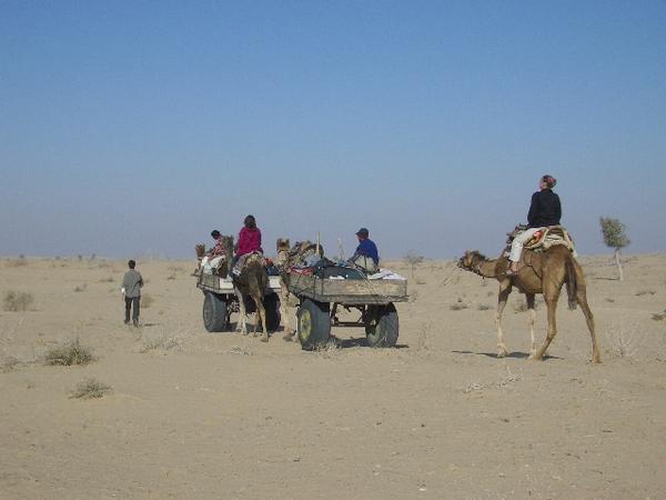 Our Camel Crew