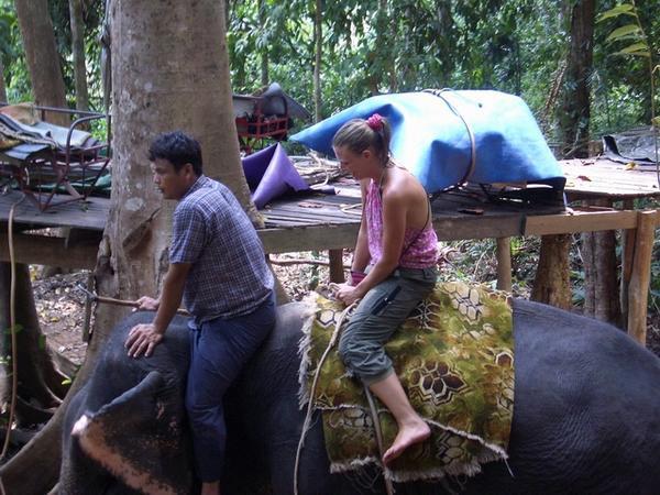 Elephant ride in jungle, Koh Chang