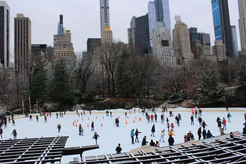 Central Parc, ice skating