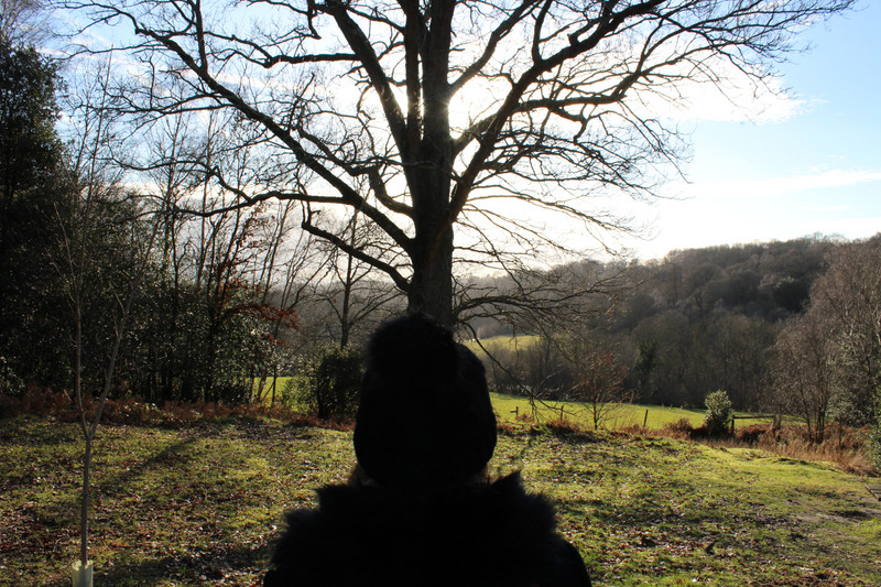 Overlooking Horsebridge Wood