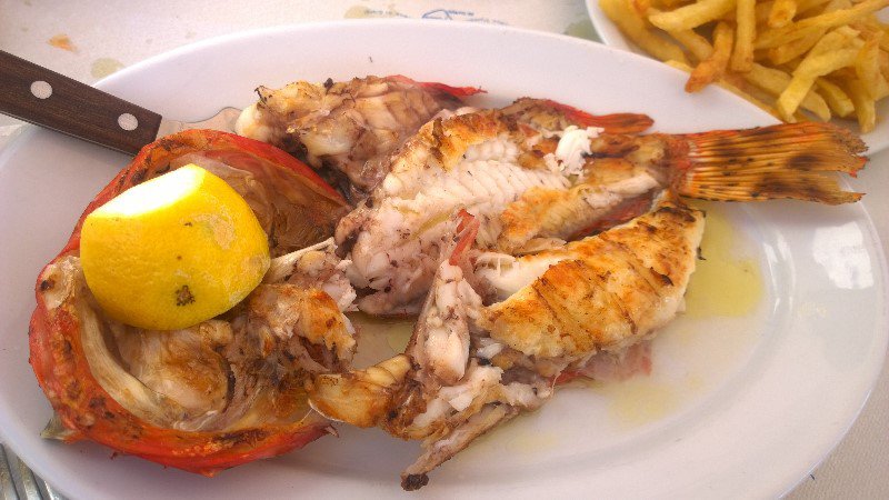 38 euro scorpion fish