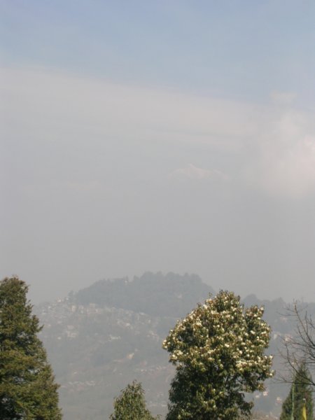 Just under two thirds up, right of middle you can just see the tip of Khangchendzonga, the highest mountain in India.