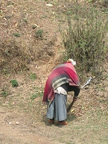 An old lady sweeping an area around as small temple.