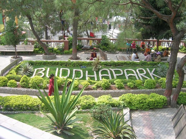 As it says, Buddha Park, all very new but beautiful.