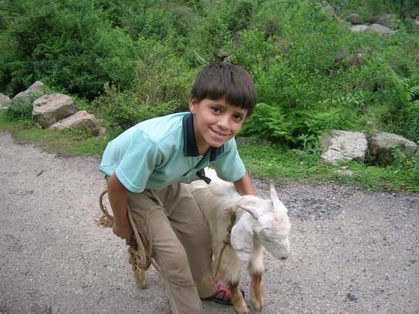 A boy and his goat.