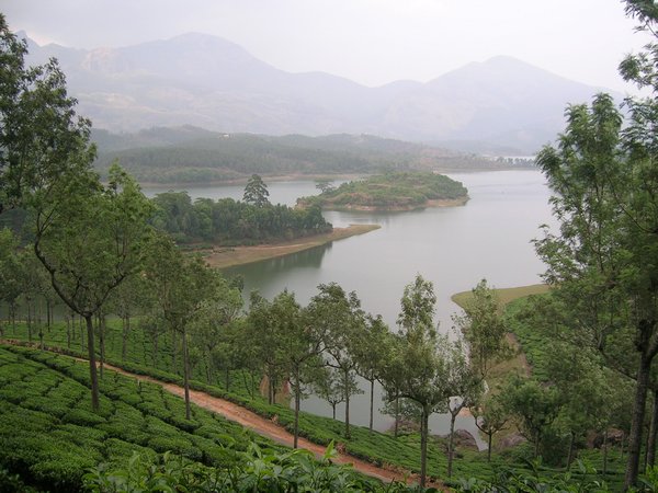 Munnar lakes and tea plantations