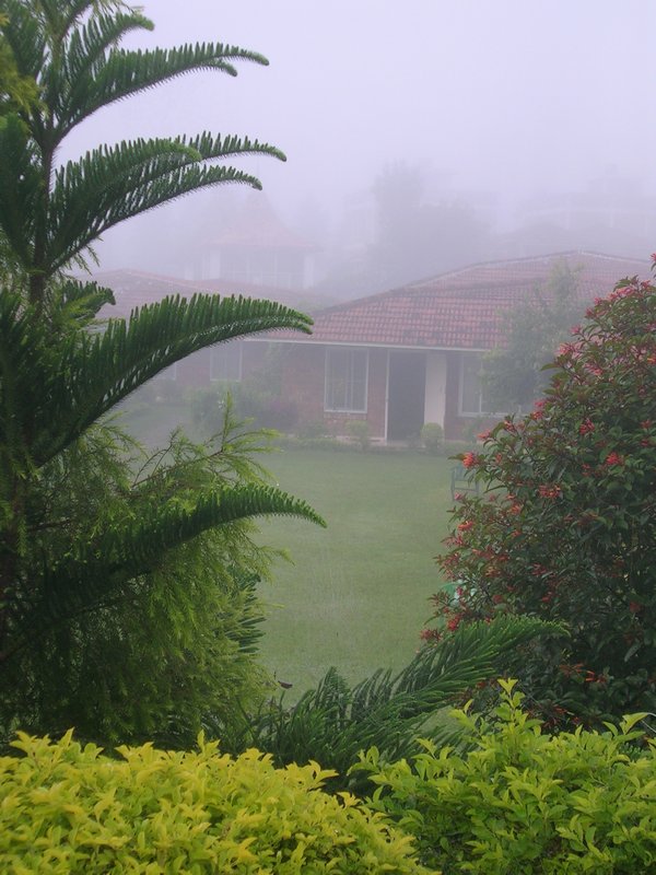 A misty early morning in Rishikesh.