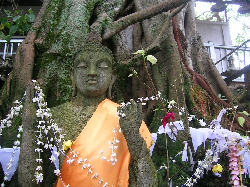 What a beautiful face on this Buddha.