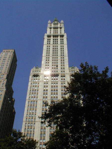 The woolworth Building
