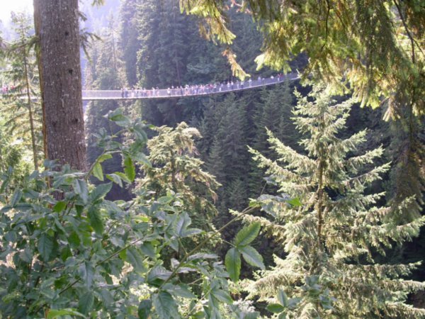 Capalio Bridge