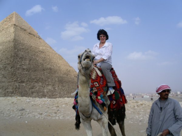 Marg and her camel