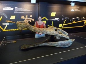 A Huge Reptilian Head and the skull of a crocodile