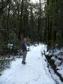 Tramping in the snow