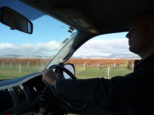 Driving through the wineries