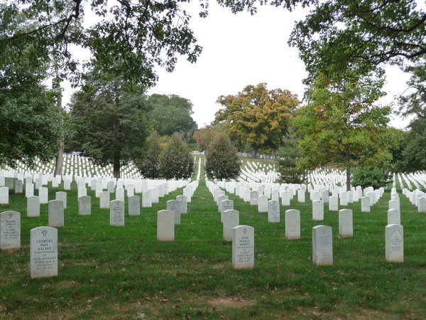 Graves at Arlington Cemetery