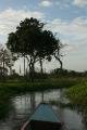 Tributary of the apure