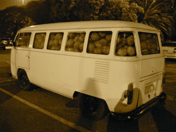 Coconut Van