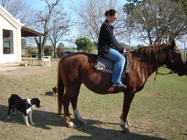 Kerry horseriding