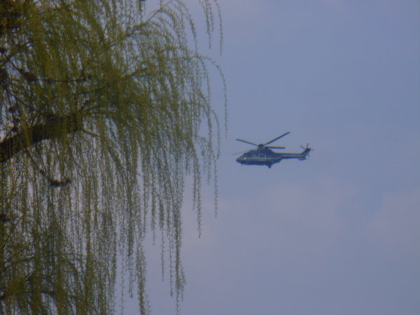 and more helicopters