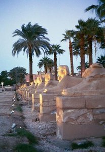 Avenue of Sphinx @ Luxor Temple
