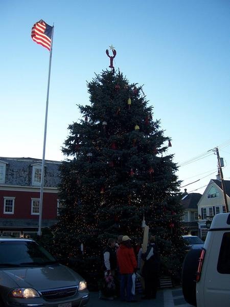 Kennebunkport Town Tree 