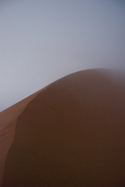 Dune 45 in the mist