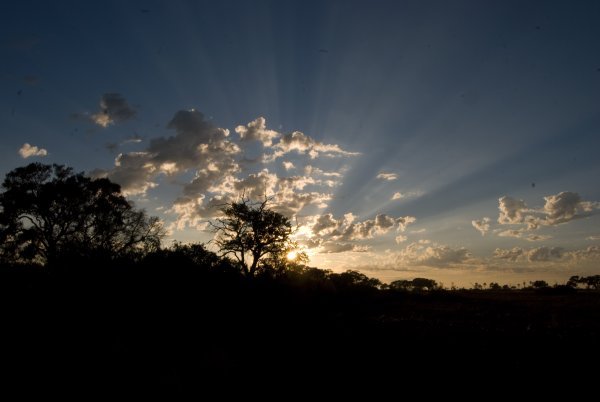 Sunrise in the Okovango Delta