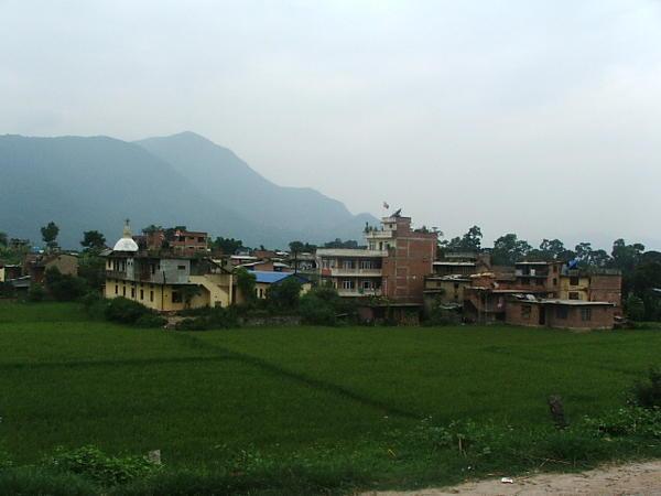 Rice Fields near Kathmandu