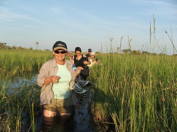 Wading in the marsh @ the Delta