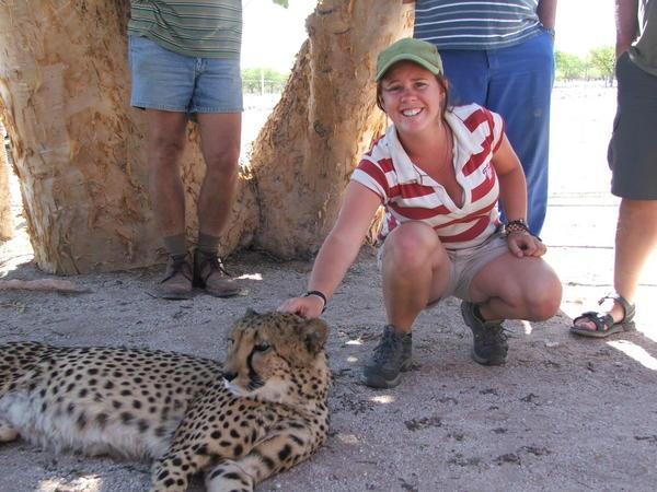 Very reluctantly patting a cheetah